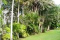 Property photo of 39 Berry Dairy Road Glendale QLD 4711