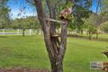 Property photo of 397 Pine Creek Road Pine Creek QLD 4670