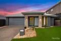 Property photo of 12 Songlark Crescent Springfield QLD 4300
