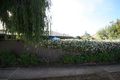 Property photo of 3/27 Hambledon Road Campbelltown SA 5074