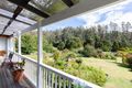 Property photo of 27466 Tasman Highway Pyengana TAS 7216