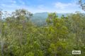 Property photo of 1 Gradys Creek Road Cougal NSW 2474