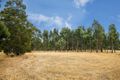 Property photo of 104 McGorman Road Mount Pleasant SA 5235