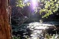 Property photo of 55 Cunning Road Tanawha QLD 4556
