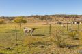 Property photo of 115 Yuranga Drive Wamboin NSW 2620