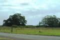 Property photo of 46 Gibsons Road Burnett Heads QLD 4670