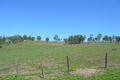 Property photo of 1 Old Toowoomba Road Glen Cairn QLD 4342