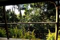 Property photo of 67 Long Road Tamborine Mountain QLD 4272