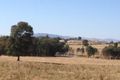 Property photo of 499 Burma Road Table Top NSW 2640