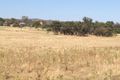 Property photo of 499 Burma Road Table Top NSW 2640