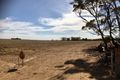 Property photo of 86 Francey Road Poochera SA 5655