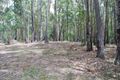 Property photo of 105 Red Gum Road Yellow Pinch NSW 2548