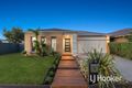 Property photo of 18 Ciliata Street Cranbourne North VIC 3977