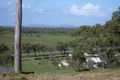 Property photo of 17 Hitching Rail Drive Tanby QLD 4703