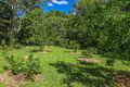 Property photo of 222 Main Arm Road Mullumbimby NSW 2482