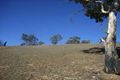 Property photo of 90 Old Omeo Highway Omeo VIC 3898