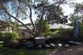 Property photo of 41 Andrea Street Rye VIC 3941