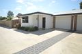 Property photo of 6/235 Torquay Terrace Torquay QLD 4655