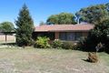 Property photo of 17 Paling Street Orange NSW 2800