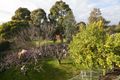 Property photo of 18 Withers Avenue Mulgrave VIC 3170