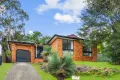 Property photo of 5 Ross Place Minto NSW 2566