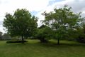 Property photo of 14 Wilga Street Barellan NSW 2665