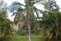 Property photo of 3 Atlas Close Smithfield QLD 4878