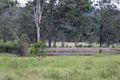 Property photo of 246 Mungay Flat Road Willawarrin NSW 2440