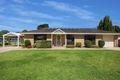 Property photo of 4 Trentham Road Shoalhaven Heads NSW 2535