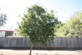 Property photo of 13 Clark Avenue Glandore SA 5037