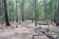 Property photo of 105 Red Gum Road Yellow Pinch NSW 2548
