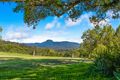 Property photo of 6 Bush Tucker Court Eumundi QLD 4562