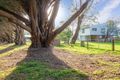 Property photo of 13 McLardy Court Cowes VIC 3922