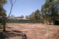 Property photo of 11 Light Street Kapunda SA 5373