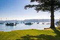 Property photo of 91 Paradise Avenue Avalon Beach NSW 2107