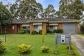 Property photo of 20 Angus Close Wantirna VIC 3152
