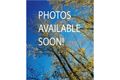 Property photo of 21 Observatory Drive Clarkson WA 6030