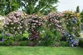 Property photo of 39 West Barrack Street Deloraine TAS 7304
