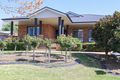 Property photo of 21 Monaro Court Tatton NSW 2650