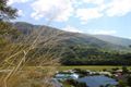 Property photo of 1 Burbridge Close Redlynch QLD 4870
