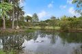Property photo of 690 Nambour Mapleton Road Kureelpa QLD 4560