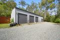Property photo of 47 Tamaree Road Cedar Creek QLD 4207