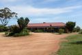 Property photo of 59 Thornell Road Young NSW 2594