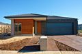 Property photo of 20 Lilyturf Drive Tarneit VIC 3029