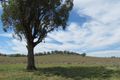 Property photo of 8149 Burrendong Way Dripstone NSW 2820
