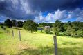 Property photo of 170 Kiel Mountain Road Woombye QLD 4559