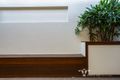 Property photo of 57 Columbia Drive Bellbird Park QLD 4300