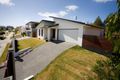 Property photo of 14 Robur Crescent Mountain Creek QLD 4557