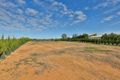 Property photo of 40 The Cobb And Co Way Gol Gol NSW 2738