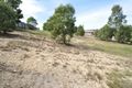 Property photo of 38 Annabelle Crescent Upper Coomera QLD 4209
